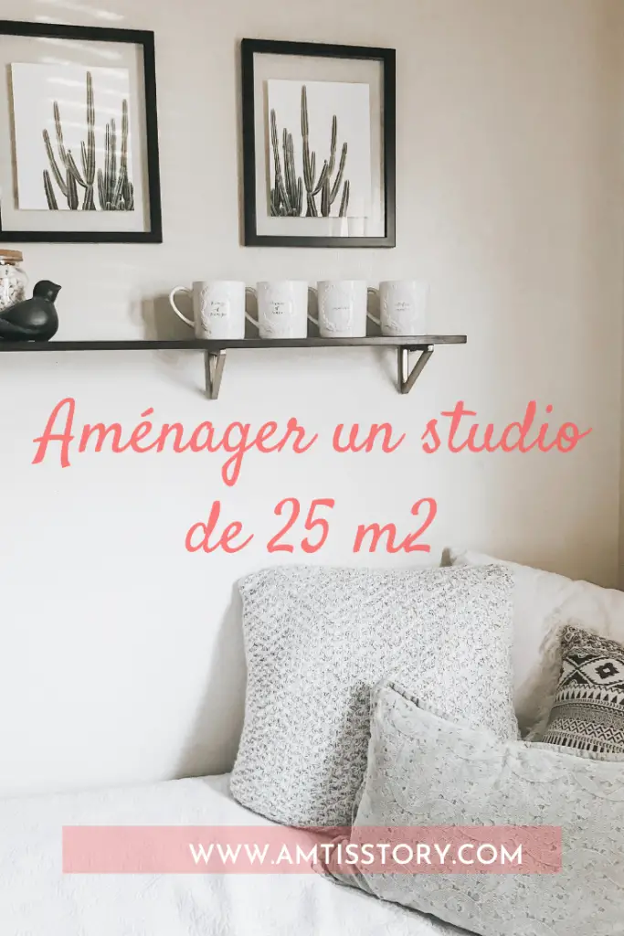 Amenager Et Decorer Un Studio De 25 M2 Trois Exemples Amtisstory