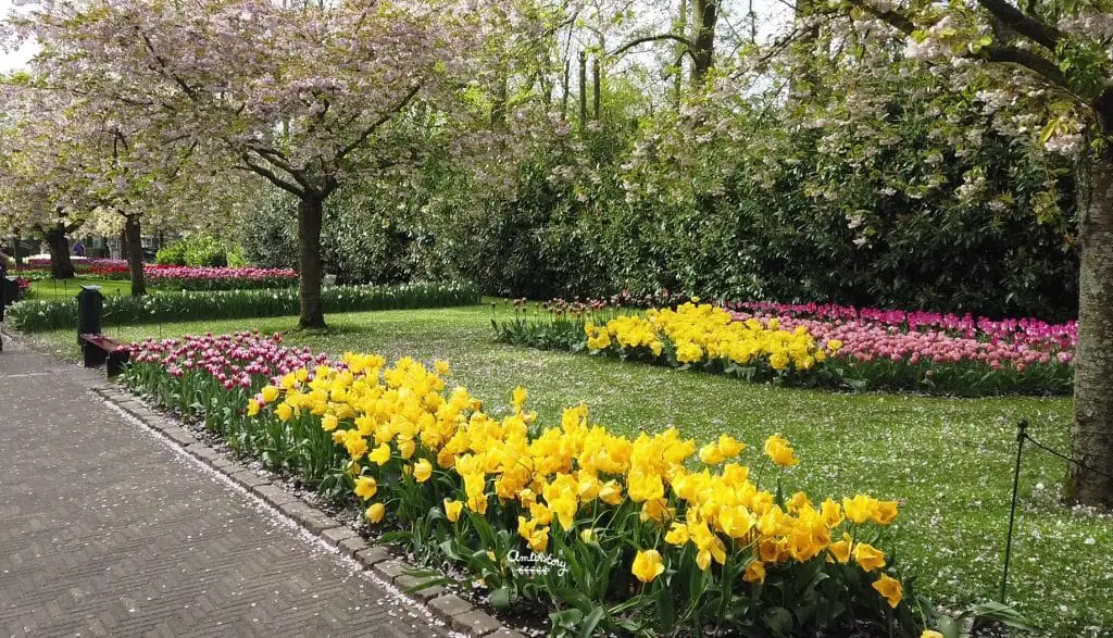 visite keukenhof