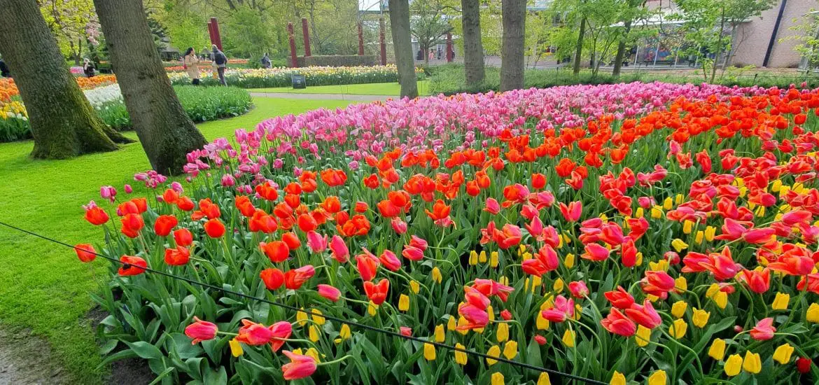 visite keukenhof amsterdam