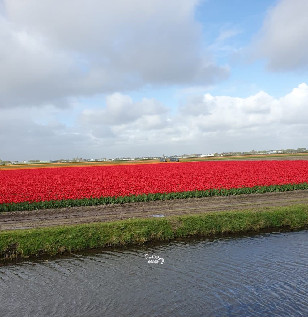 visite keukenhof avis