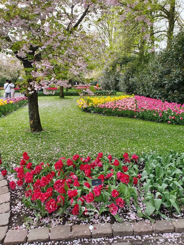 visite keukenhof