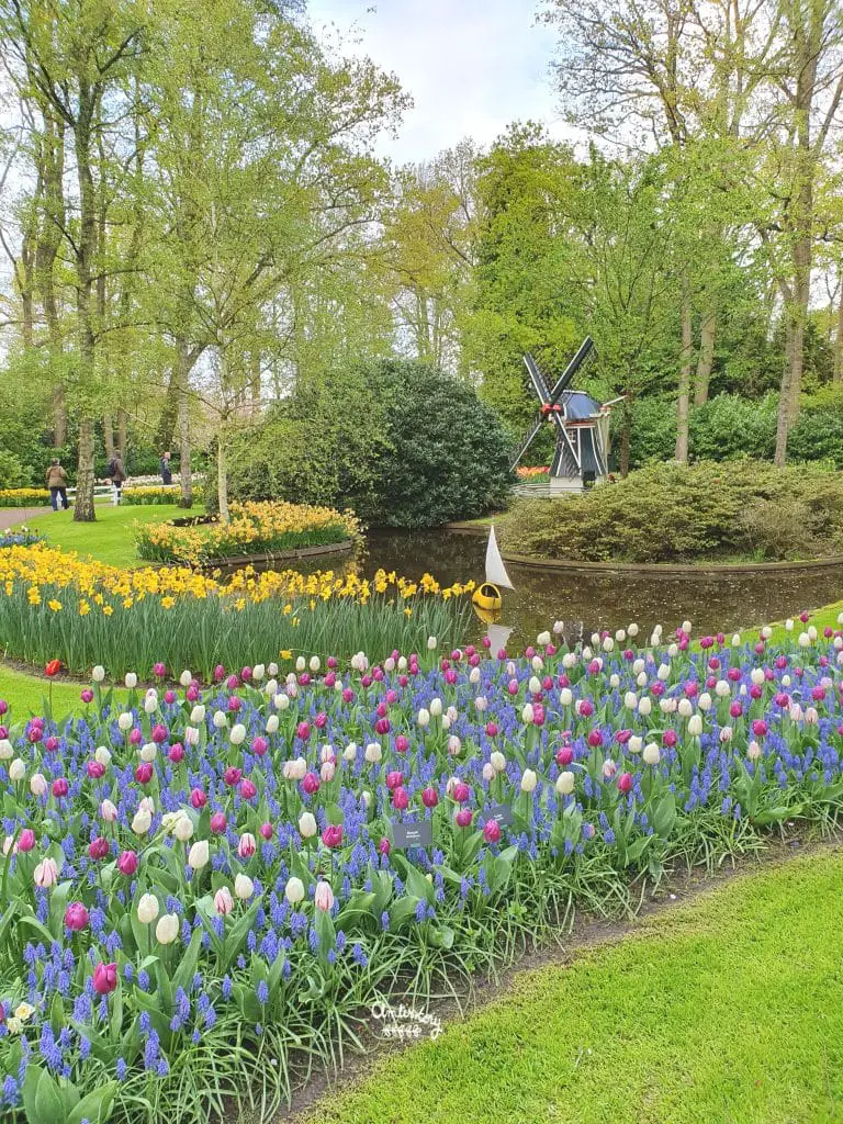 visite keukenhof